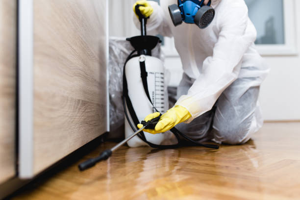 Best Emergency Pest Control  in Greenwood, AR