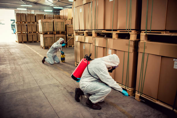 Best Best Pest Control Companies  in Greenwood, AR