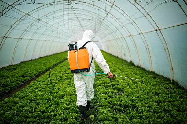Best Local Pest Control Services  in Greenwood, AR