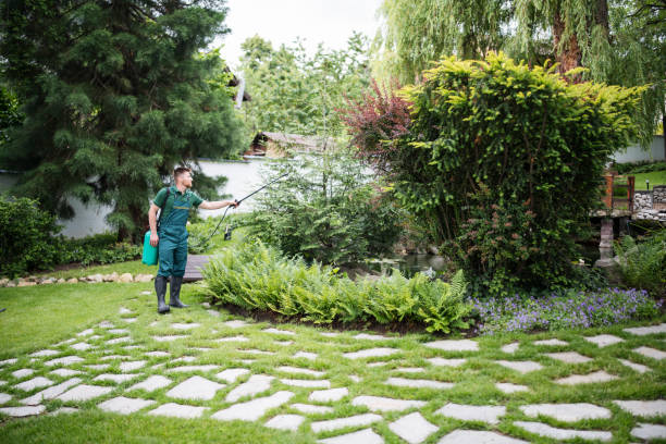 Best Exterminator Services  in Greenwood, AR