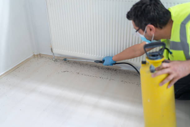Best Termite Control Services  in Greenwood, AR