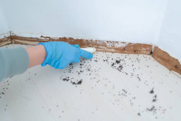 Best Commercial Pest Control Services  in Greenwood, AR