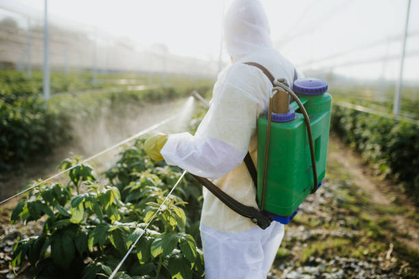 Trusted Greenwood, AR Pest Control Experts